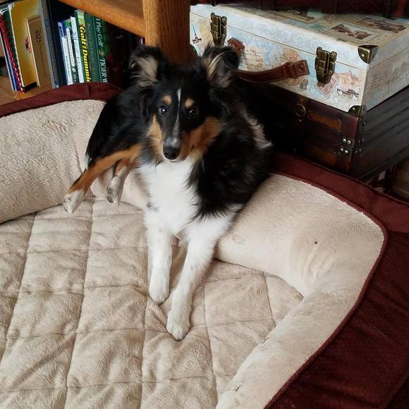 Meet your Posher, Kristi - Picture 1 of 1